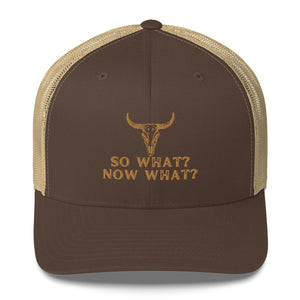 So What? Now What? Trucker Cap