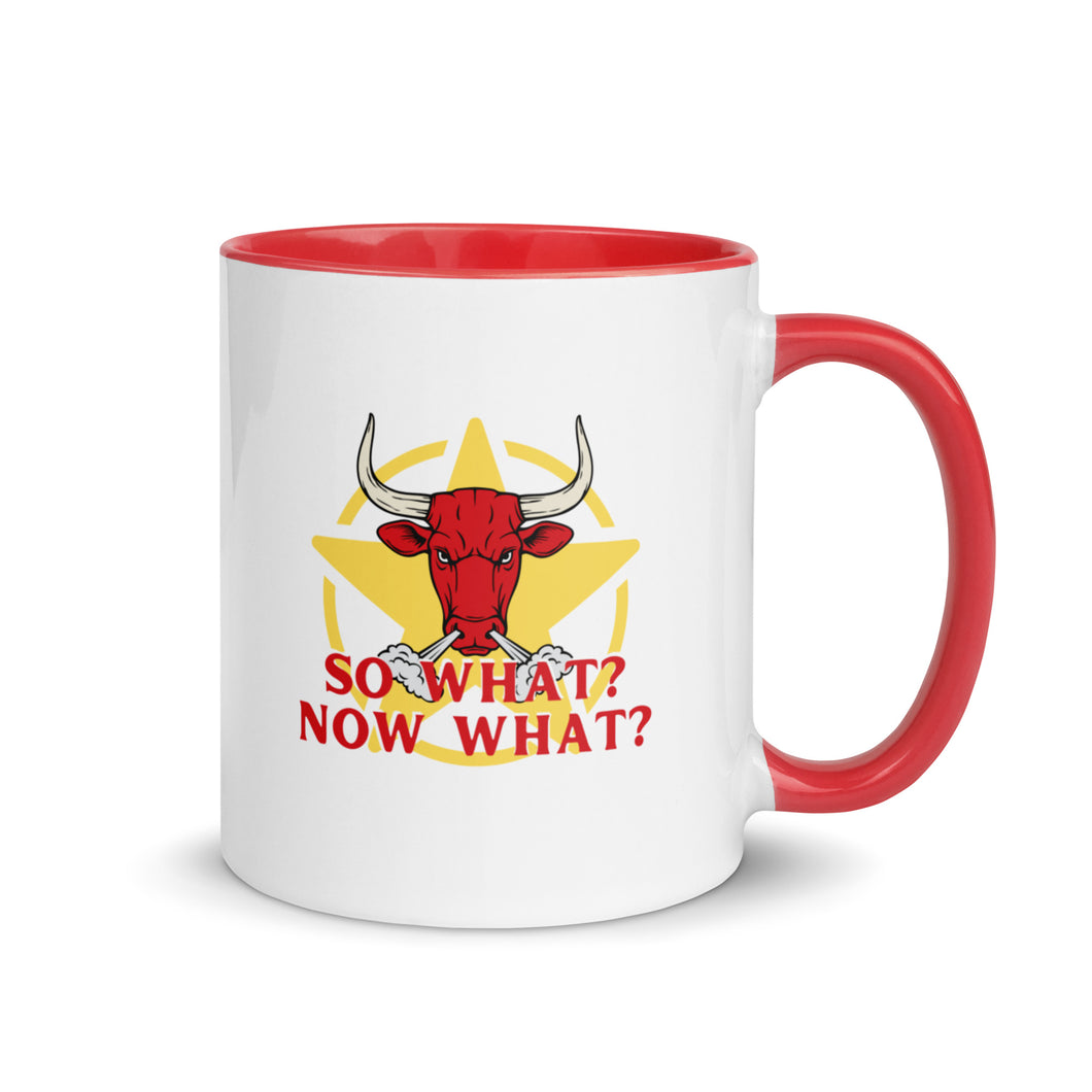 So What? Now What? Retro Mug